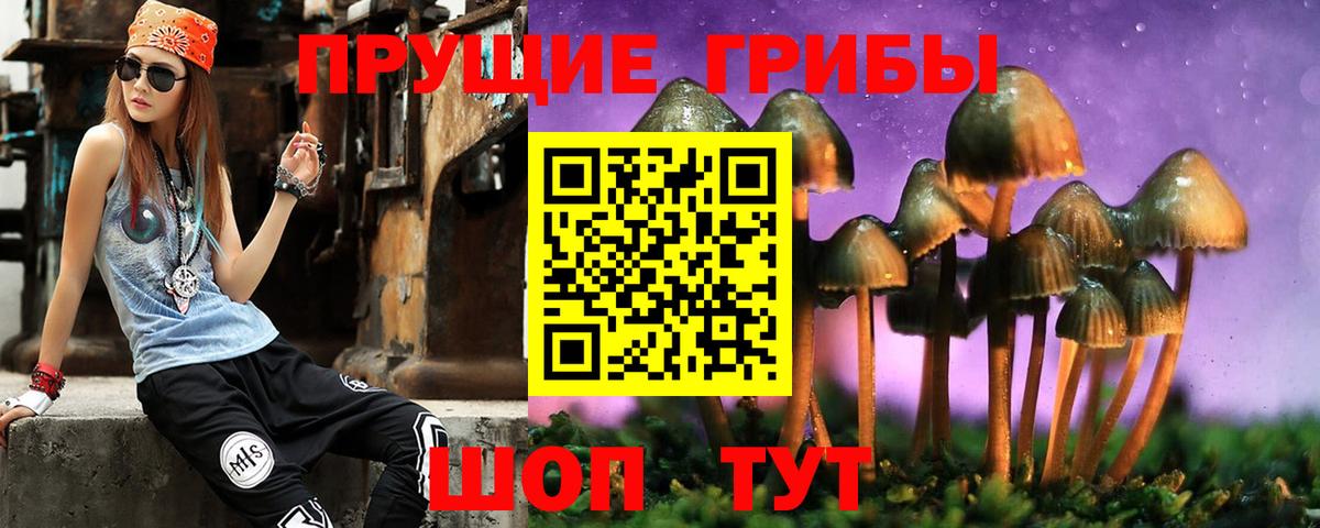 Псилоцибиновые грибы прущие грибы  сколько стоит  Рыбинск  Вход с VPN  Псилоцибиновые грибы GOLDEN TEACHER 